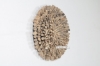 Picture of ARTHER 03 Driftwood Wall Decor