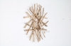 Picture of WILDBRANCH Solid Teak Wood Round Wall Decor