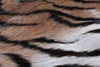 Picture of TIGER Mat/Carpet * Genuine Goat Leather