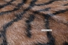 Picture of TIGER Mat/Carpet * Genuine Goat Leather