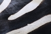 Picture of ZEBRA Mat/Carpet * Genuine Cowhide