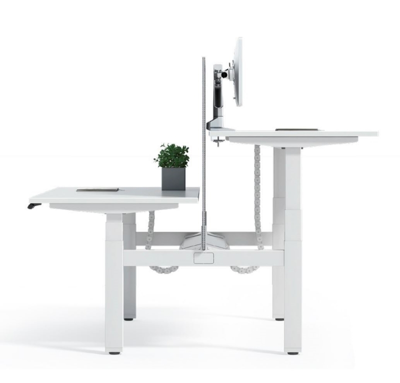 Picture of UP1 BACK-TO-BACK DUAL Adjustable Desk System - 160cm Long (Oak Desktop)