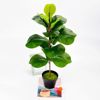 Picture of ARTIFICIAL Fiddle Leaf - 21 inch / 55cm
