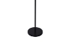 Picture of FLOOR LAMP 528 with Clear Round Glass Shades (Black)