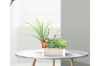 Picture of ARTIFICIAL PLANT 294 WITH WOODEN LOOK VASE (20CM X 35CM)