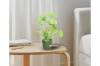Picture of ARTIFICIAL PLANT 292 WITH MOSS VASE (20CM X 28CM)