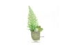 Picture of ARTIFICIAL PLANT 287 WITH VASE (6.5CM X 20CM)