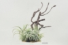 Picture of ARTIFICIAL PLANT 281 with Vase (8" x 11")