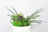 Picture of ARTIFICIAL PLANT 280 with Vase (14cm X 36cm)