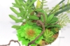 Picture of ARTIFICIAL PLANT 280 with Vase (5.5" x 14")