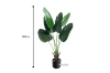 Picture of ARTIFICIAL PLANT 47"/71" Banana Leaf with Black Plastic Pot