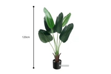Picture of ARTIFICIAL PLANT 47"/71" Banana Leaf with Black Plastic Pot