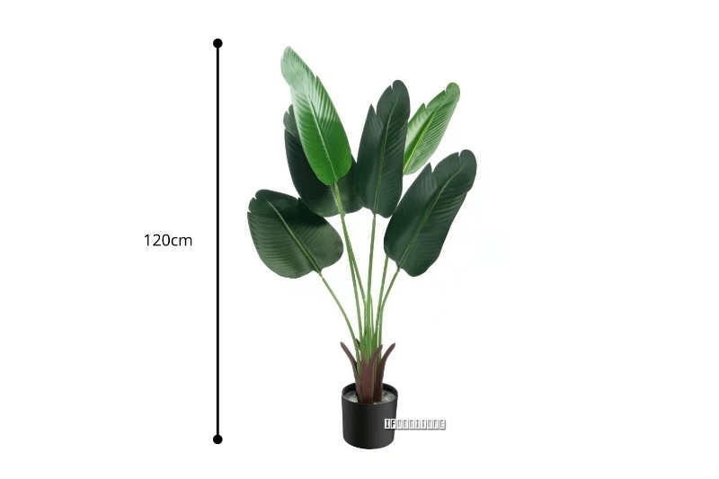 Picture of ARTIFICIAL PLANT 47"/71" Banana Leaf with Black Plastic Pot - 47"
