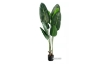 Picture of ARTIFICIAL PLANT 120/180cm Banana Leaf with Black Plastic Pot