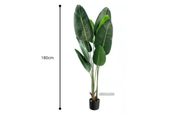 Picture of ARTIFICIAL PLANT 71" Banana Leaf with Black Plastic Pot 