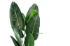 Picture of ARTIFICIAL PLANT 120/180cm Banana Leaf (Black Plastic Pot) - 120 cm