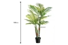 Picture of ARTIFICIAL PLANT 266-297 Palm - 195cm