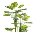 Picture of ARTIFICIAL PLANT Monstera Deliciosa 170cm