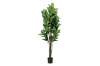 Picture of Artificial plant 266-329 rubber tree 160CM