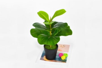 Picture of Artificial Fiddle Leaf