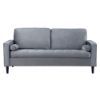 Picture of WALLUX  STEEL FRAME 2 Seater Sofa with Ottoman in Gray