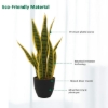 Picture of ARTIFICIAL PLANT Dracaena Trifasciata--2 Size (17.5"/39.5")