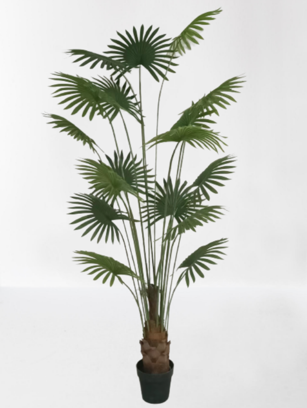 Picture of Artificial Plant Fan Palm 180cm