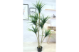 Picture of ARTIFICIAL PLANT Dracaena Tree (H170cm)