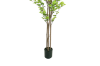 Picture of ARTIFICIAL PLANT Watercress Tree (H180)