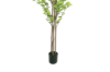 Picture of ARTIFICIAL PLANT Watercress Tree (H71")