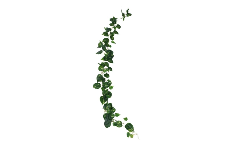 Picture of ARTIFICIAL PLANT Sweet Potato Vines 02 (2M Long)