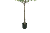 Picture of ARTIFICIAL PLANT Eucalyptus Tree (H180)