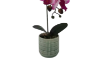 Picture of ARTIFICIAL PLANT PINK-WHITE ORCHID WITH GREEN VASE (H37CM)