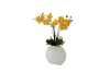 Picture of ARTIFICIAL PLANT YELLOW ORCHID WITH WHITE VASE (H55CM)