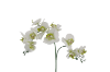 Picture of ARTIFICIAL PLANT WHITE ORCHID WITH GOLDEN VASE (H55CM)