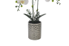 Picture of ARTIFICIAL PLANT White Orchid with Silver Vase (H45cm)