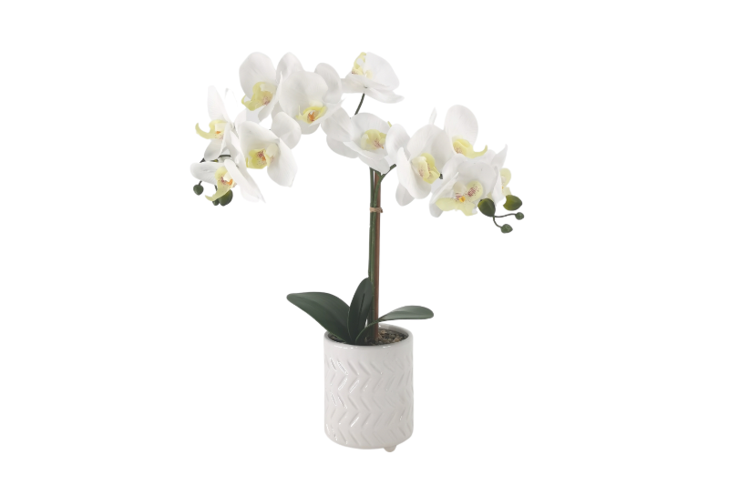 Picture of ARTIFICIAL PLANT White Orchid with White Vase (H17")