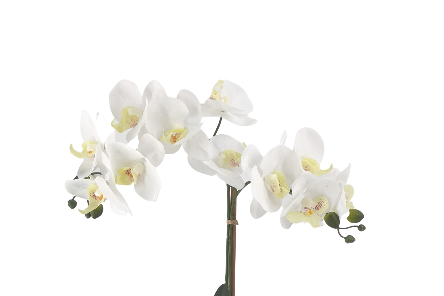 ARTIFICIAL PLANT White Orchid with White Vase (H43cm)iFurnitureThe