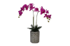 Picture of ARTIFICIAL PLANT PINK ORCHID WITH SILVER VASE (H55CM)