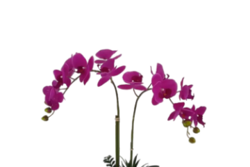 Picture of ARTIFICIAL PLANT Pink Orchid with Silver Vase (H55cm)
