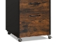 Picture of CARTER 28.5" 2-Drawer Docs/Office Cabinet