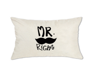 Picture of LUMBAR THROW PILLOW CUSHION WITH INNER ASSORTED 30X50CM -CUSHION 1587 MR. RIGHT