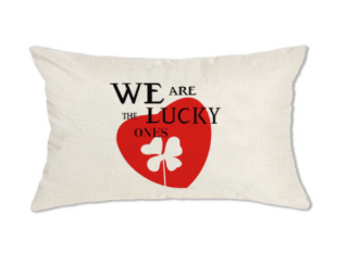Picture of LUMBAR THROW PILLOW CUSHION WITH INNER ASSORTED 30X50CM -CUSHION 1653 WE ARE THE LUCKY ONES