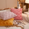 Picture of FLUFFY EMBROIDERY Pillow Cushion with Inner Assorted 45x45cm