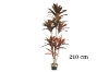 Picture of CORDYLINE TERMINALIS Artificial Plant - 82.5"