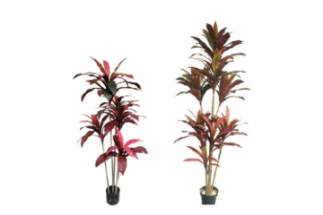 Picture of CORDYLINE TERMINALIS Artificial Plant (59"/82.5")