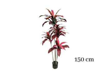 Picture of CORDYLINE TERMINALIS Artificial Plant (59"/82.5")
