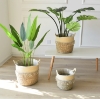 Picture of JUTE Rope Flowerpot/ Plant Basket/ Storage Basket Assorted Sizes - Large Size 25x22cm 