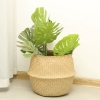 Picture of Seagrass Belly Basket/ Floor Planter/ Storage Belly Basket in Natural Color Medium Size