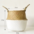Picture of Seagrass Belly Basket/ Floor Planter/ Storage Belly Basket in White & Natural Two Tone Color Medium Size